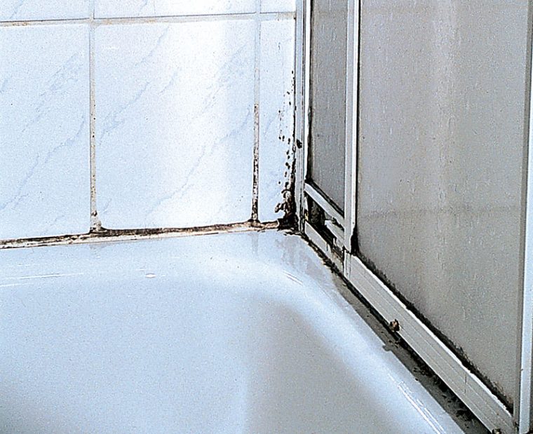 Фото 1: Плесень в ванной