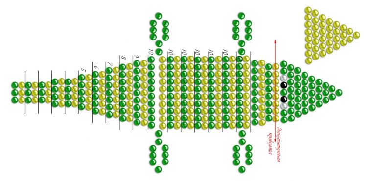 Крокодильчик из бисера схема плетения для начинающих