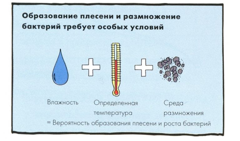 Зубоврачеванию появление микротехнологий таких как компактные компьютеры возможность