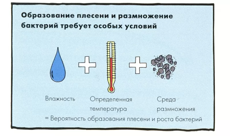 Средство от плесени в шкафу с одеждой