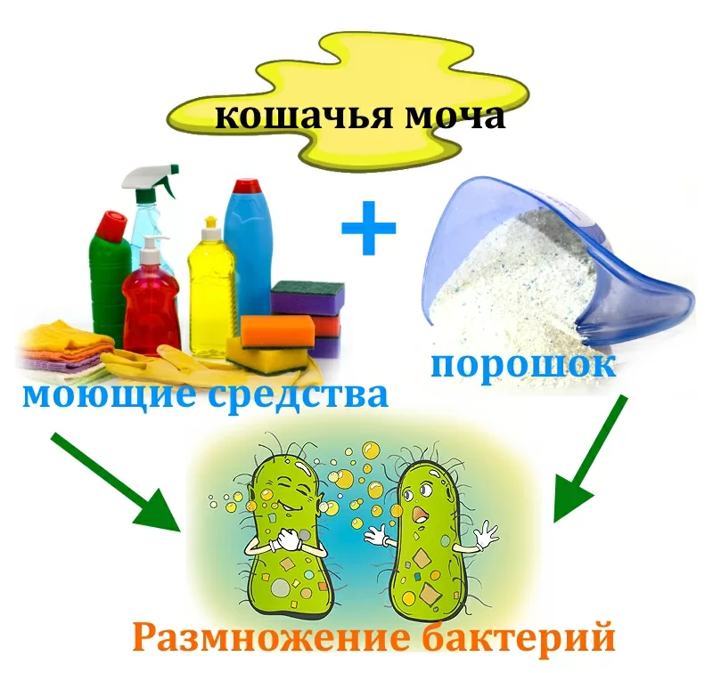 Чем отмыть кошачью мочу с двери