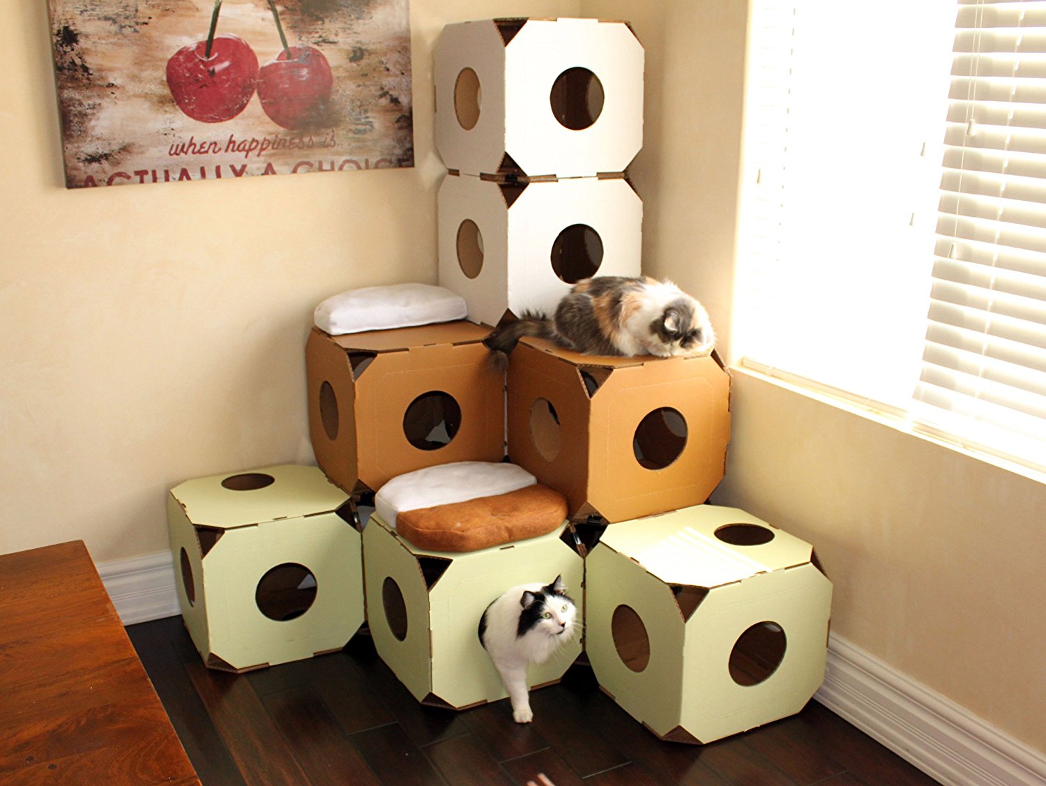 Лабиринт из картонных коробок для кошек