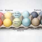 Фото 35: Красивые цвета яиц с помощью натуральных красителей