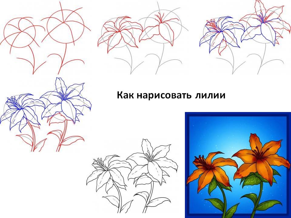 Как можно нарисовать цветок. Рисование цветов. Цветы рисунок карандашом. Цветы для рисования. Этапы рисования цветка.
