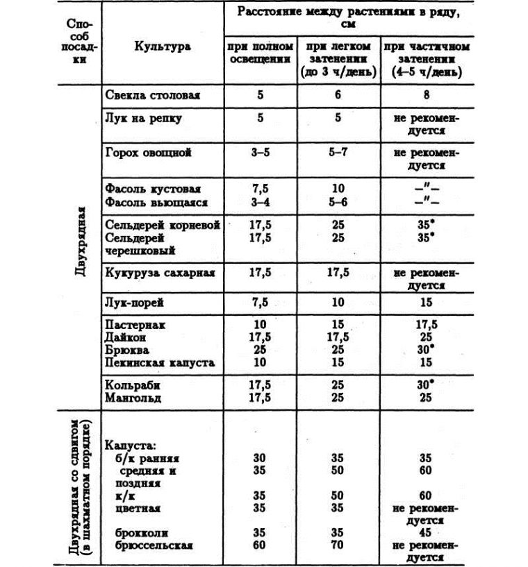 Схема посадки брокколи в открытом грунте расстояние между рядами и в ряду