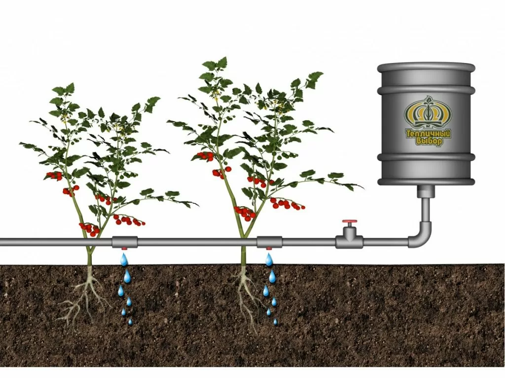 Схема работы капельного полива