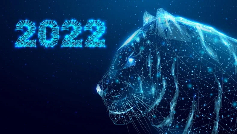 Символ Нового 2022 Года — Голубой Водяной Тигр