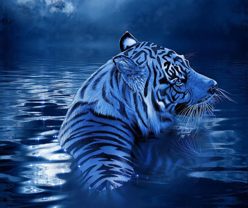 2022 Год Голубого Водяного Тигра