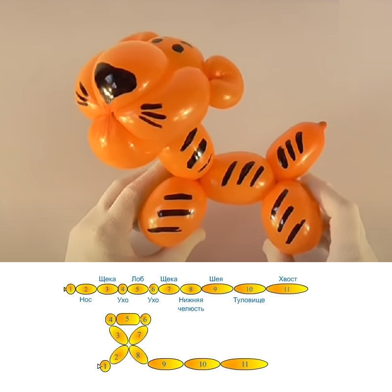 Тигр из воздушных шариков своими руками