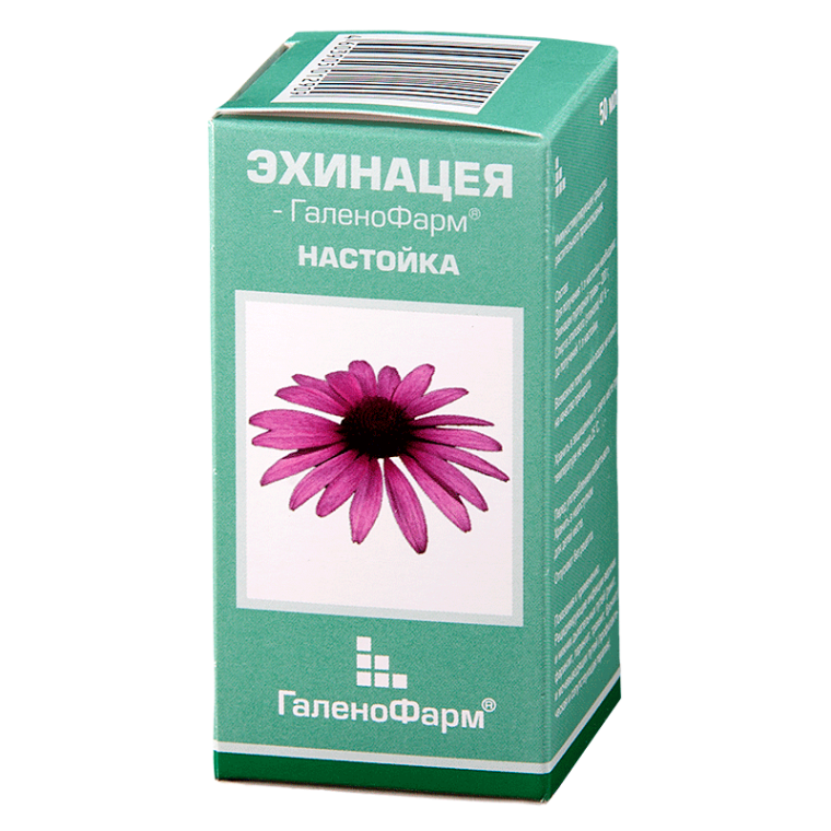 Особенности свойств настойки эхинацеи для применения