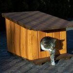 Фото 69: Будки для кошки