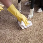 Фото 10: Как почистить палас
