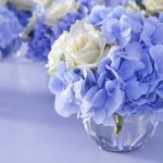Фото 61: Цветы гортензии синий