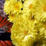 Фото 26: Садовые хризантемы жёлтые